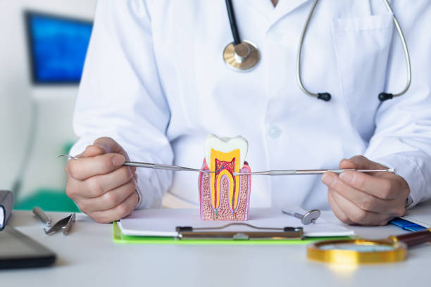 Best Emergency Orthodontic Repairs in Timberville, VA